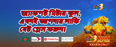 VIP মেম্বারশিপ অফার promotion banner